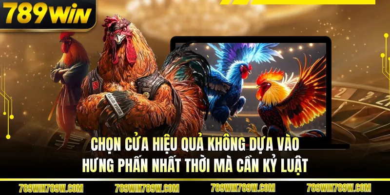Chọn cửa hiệu quả không dựa vào hưng phấn nhất thời mà cần kỷ luật