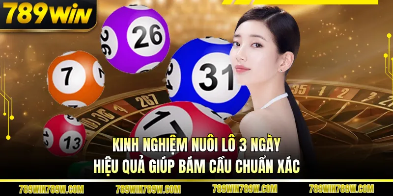 Kinh Nghiệm Nuôi Lô 3 Ngày Hiệu Quả Giúp Bám Cầu Chuẩn Xác