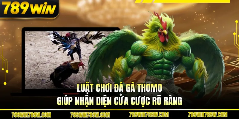 Luật chơi đá gà Thomo giúp nhận diện cửa cược rõ ràng