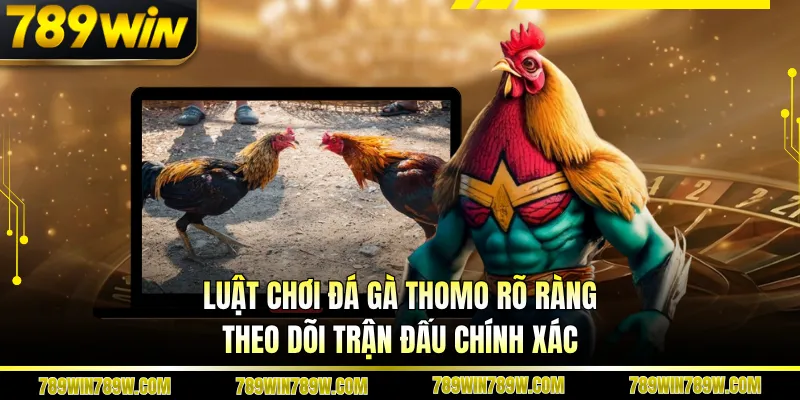Luật chơi đá gà Thomo rõ ràng theo dõi trận đấu chính xác
